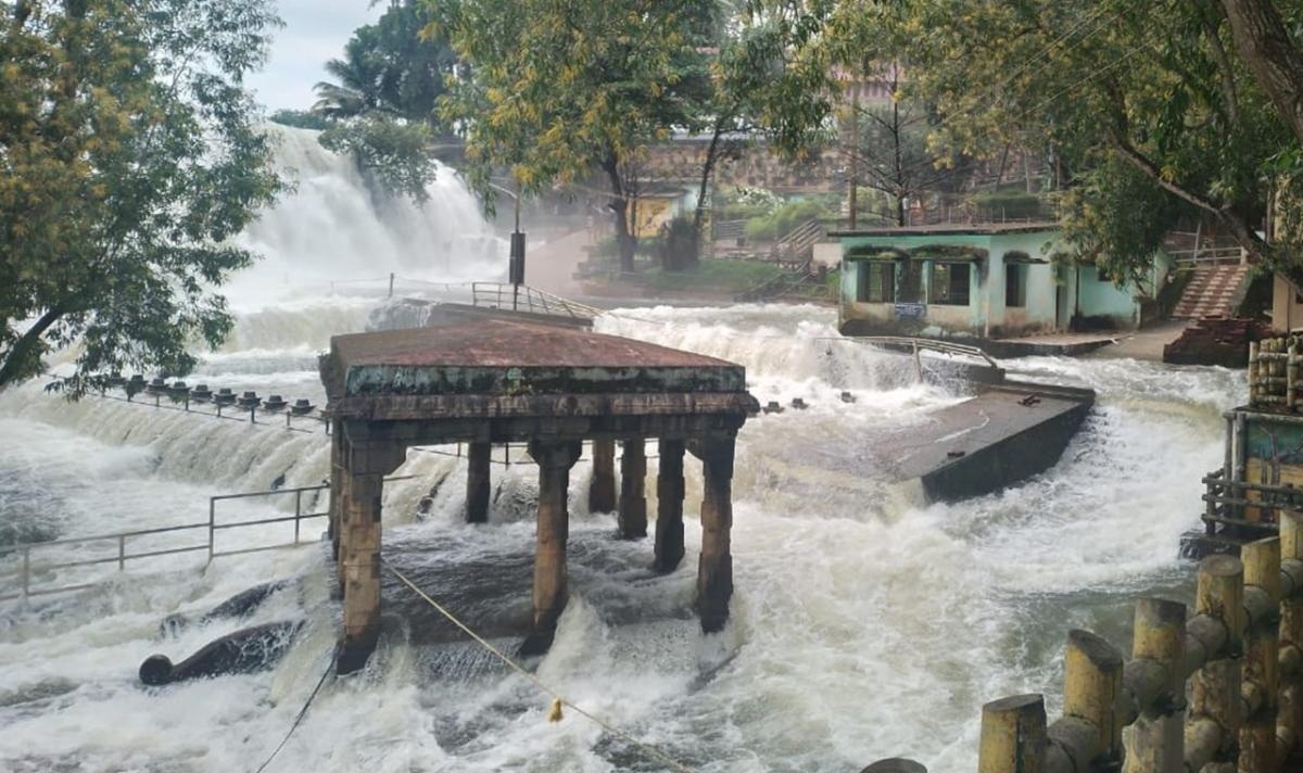 குமரியில் தொடர் மழை: திற்பரப்பு அருவியே அடையாளம் தெரியாமல் ஆர்ப்பரிக்கும் நீர்! | Incessant Rain on Kanyakumari: Thiruparappu Waterfalls itself is Gushing Water without Recognition