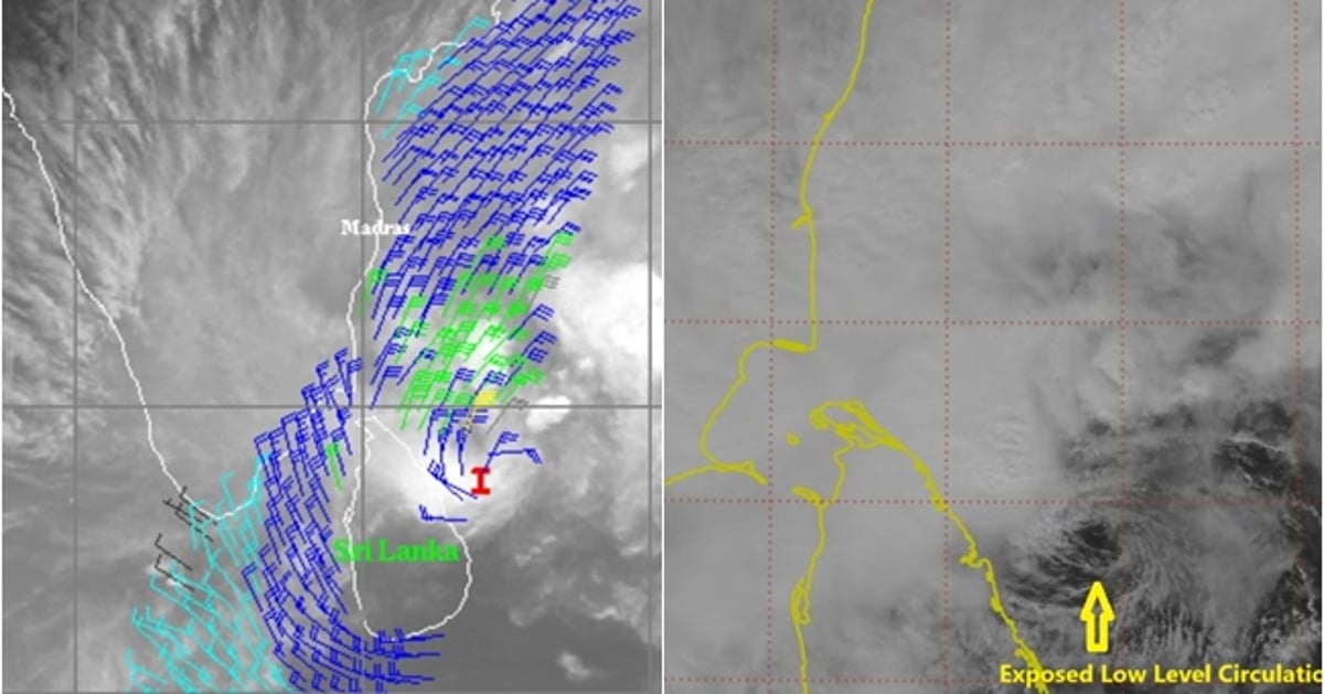 Dinamani2f2024 11 272frjahxs5b2ftn Weather.jpg