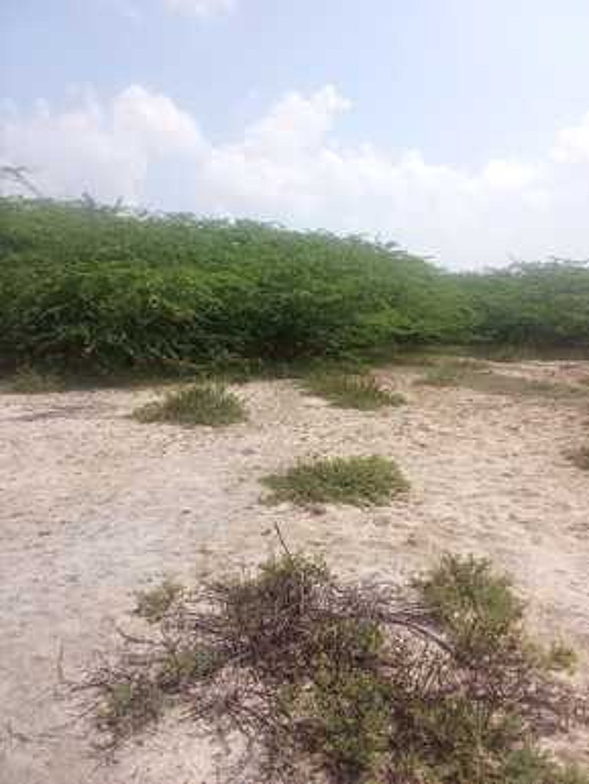 Dinamani2f2025 03 242f6v3bavvh2fve24vdm3 2403chn 102 5.jpg