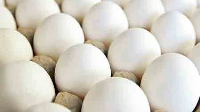 Dinamani2f2025 04 102fhw9369rx2ftnieimport201311253originaleggs.avif.jpeg