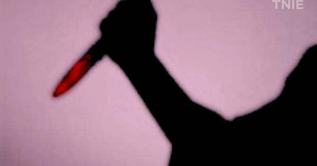 dinamani2F2025 07 102Fs2i54pu92Fknief Billhook Murder death TNIE