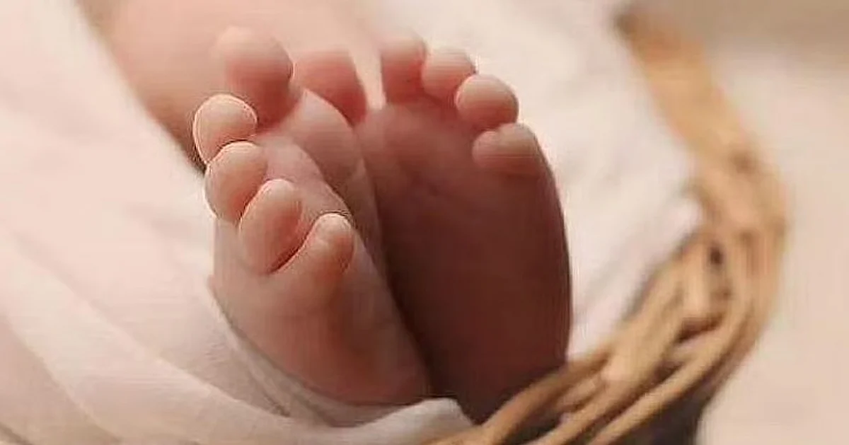 dinamani2F2025 08 012Fv1efrtnj2FTNIEimport202292originalbabyfeet.avif