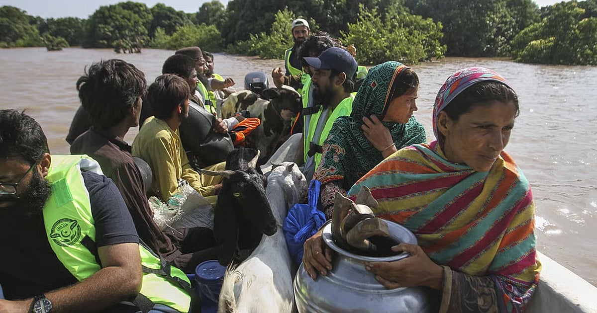dinamani2F2025 09 112F1jrq2cv12Fnewindianexpress2025 09 083cbfqujfPak floods 1.avif