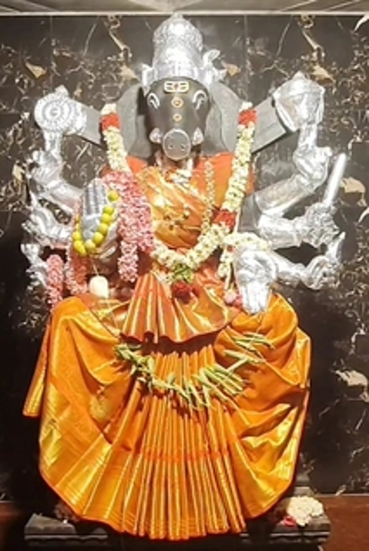 வாராஹி அம்மன் கோயிலில் சிறப்பு யாகம்
