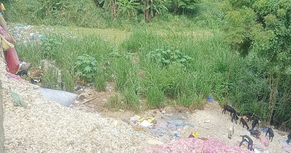 dinamani2F2025 09 222F14cdnvnk2Fpkm22pvc 1 2209chn 74 2