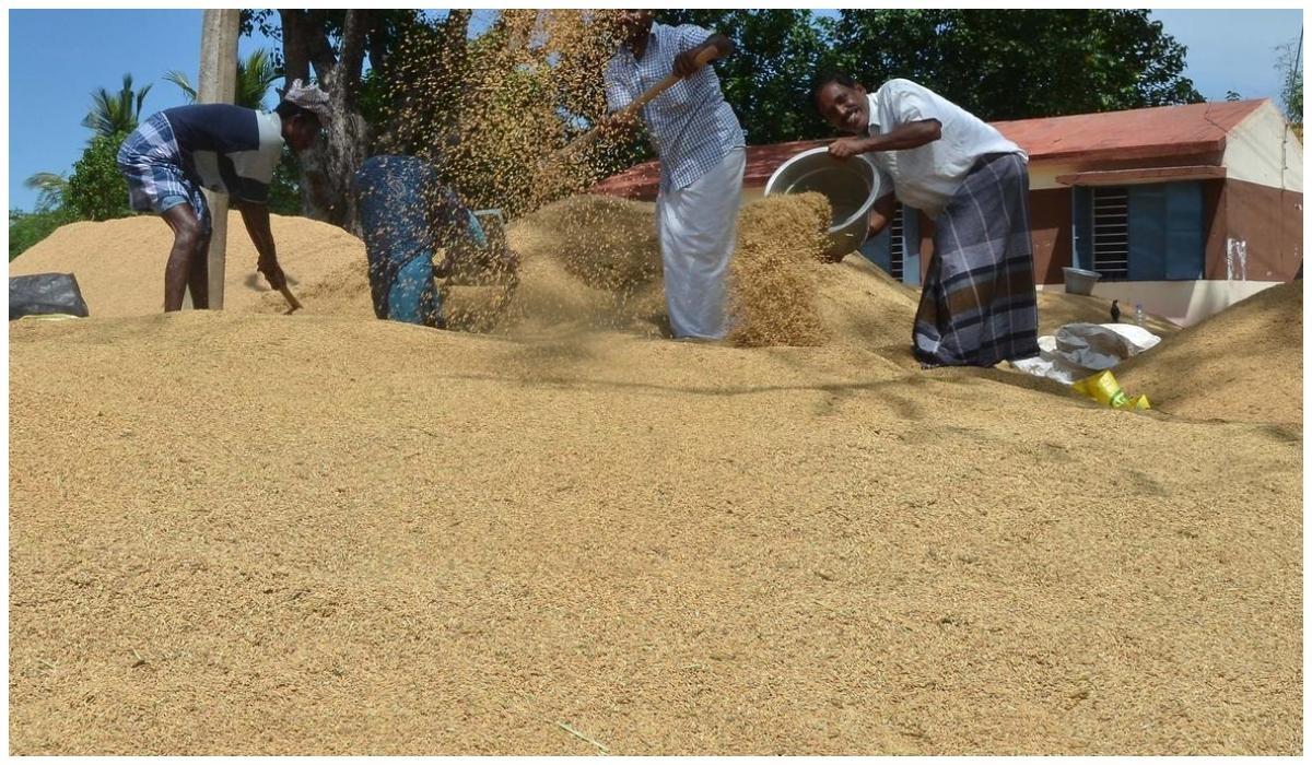 நெல் கொள்முதலை விரைவு படுத்திட சிறப்பு கண்காணிப்பு குழு: விவசாயிகள் சங்கம் – இ.கம்யூ. கூட்டறிக்கை | Communist Party of India Urges Govt to Form Committee for Swift Paddy Procurement