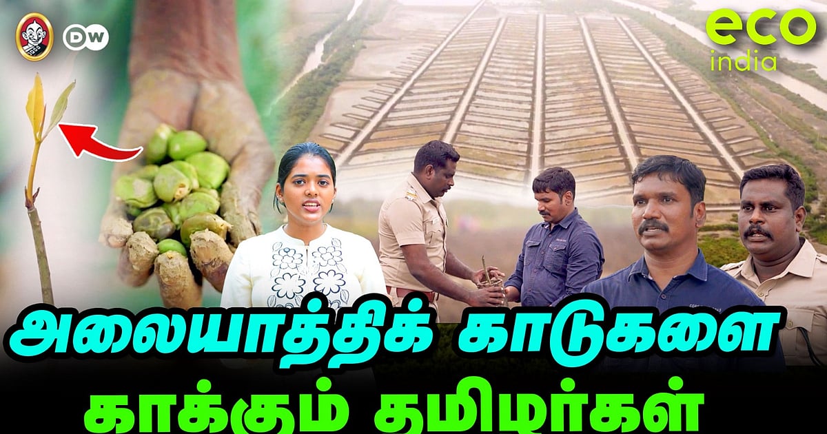 அலையாத்தி காடுகளை காக்கும் தமிழர்கள் ? | வீட்டுத் தோட்டம் இனி சுலபம் ? | Eco India S2 EP-6