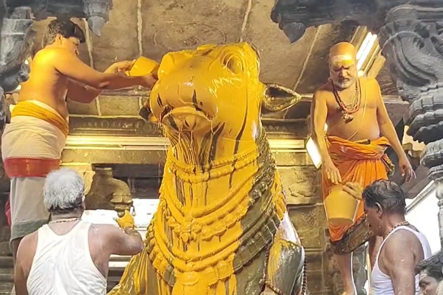 திருவண்ணாமலையில் ஆனி மாத சனி மகா பிரதோஷம் வழிபாடு! – Kumudam
