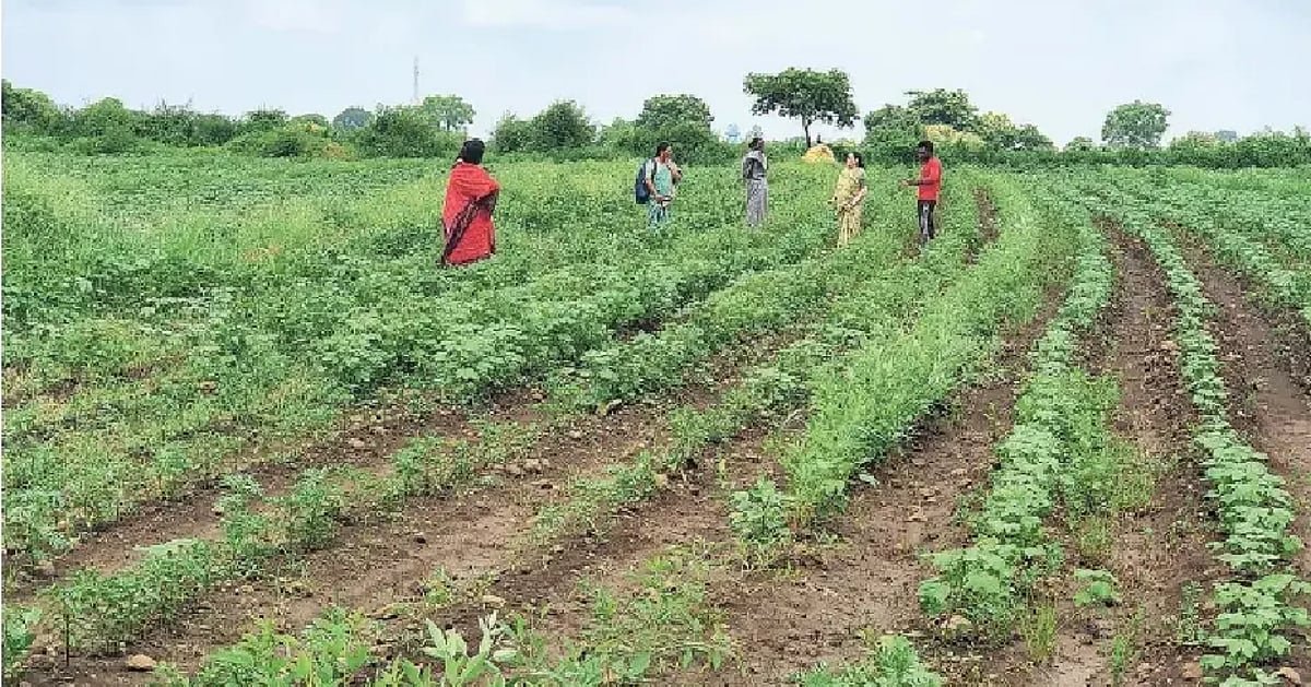 Are women meant only for childbearing? Young widows in Maharashtra strive to stand on their own feet without remarrying.-பெண்கள் குழந்தை பெறுவதற்கு மட்டுமா? மறுமணம் செய்யாமல் சொந்தகாலில் நிற்க போராடும் விதவைகள்