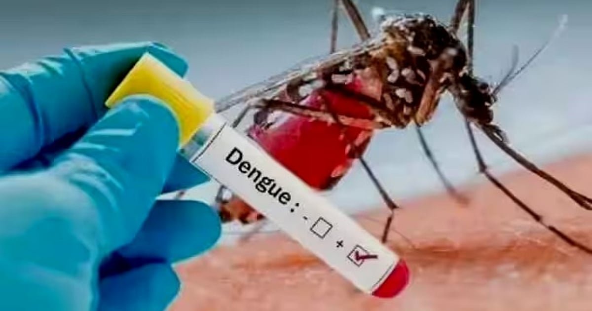 டெங்கு: ஒரே நாளில் 253 பேருக்கு பாதிப்பு!; தமிழ்நாட்டில் அதிகரிக்கும் டெங்கு! | Dengue: 253 people affected in a single day! Dengue on the rise in Tamil Nadu!