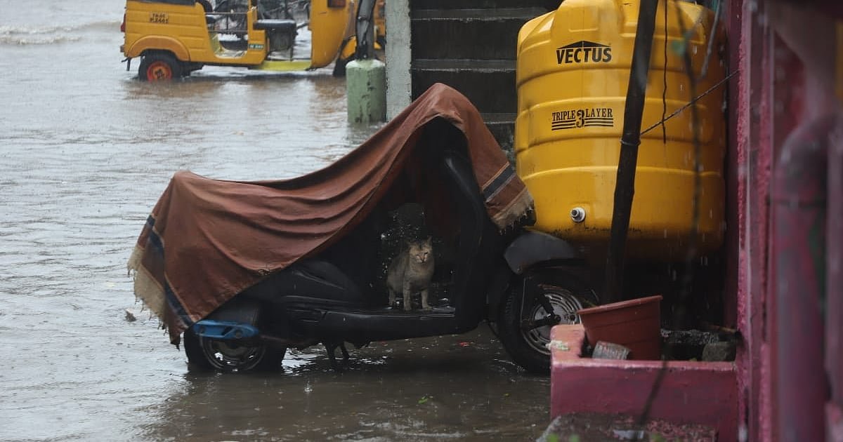 Rain Alert: தமிழகத்தில் இன்று மழை எச்சரிக்கை; 12 மாவட்டங்களில் கனமழைக்கு வாய்ப்பு; உங்க ஊரில்?